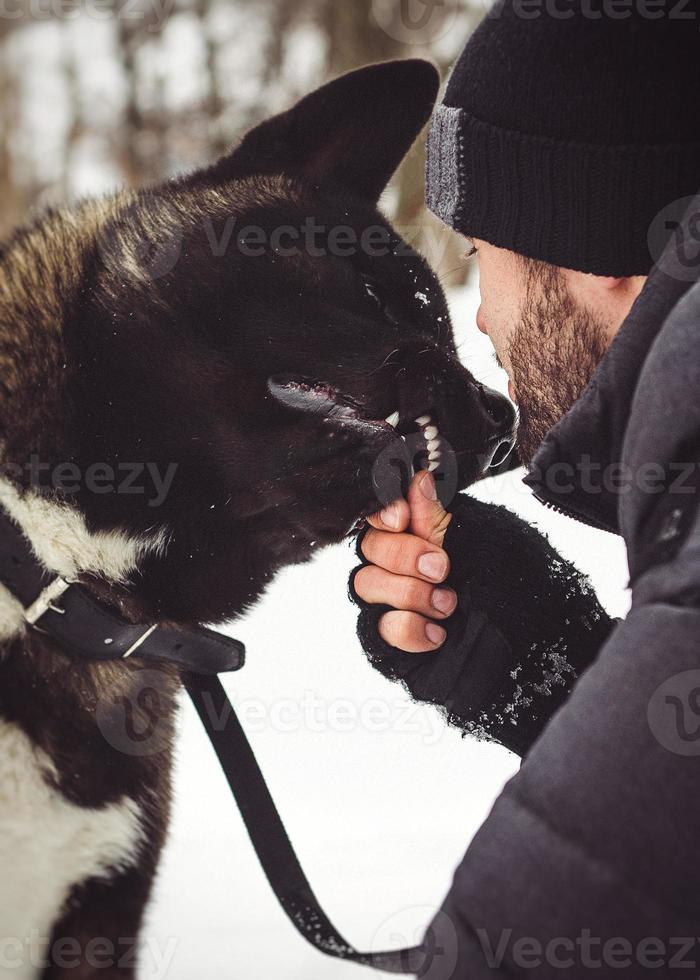 um homem com uma jaqueta e um chapéu de malha caminhando com um cachorro akita americano foto