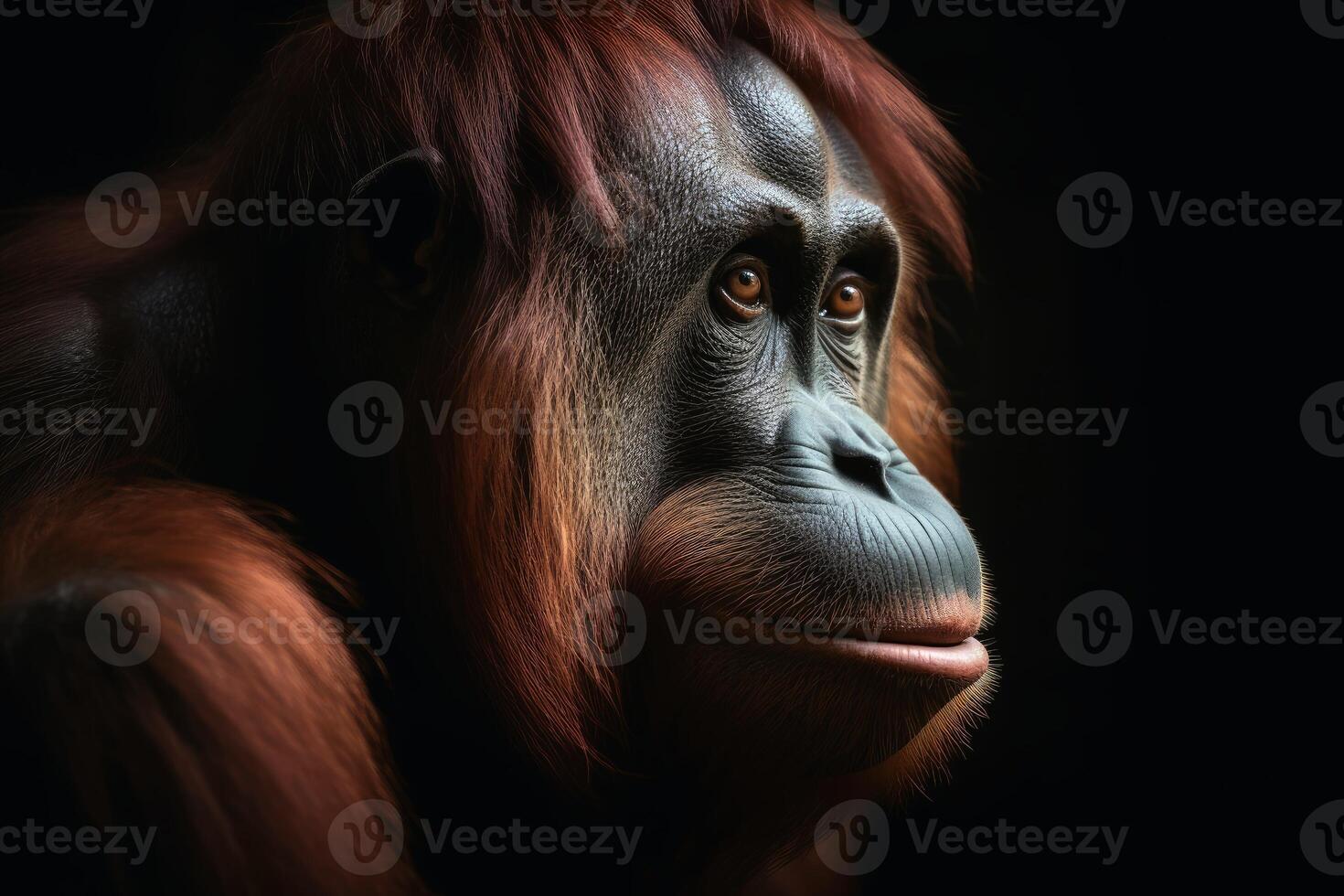 fechar acima Visão do a orangotango utan contra uma Sombrio fundo criada com generativo ai tecnologia. foto