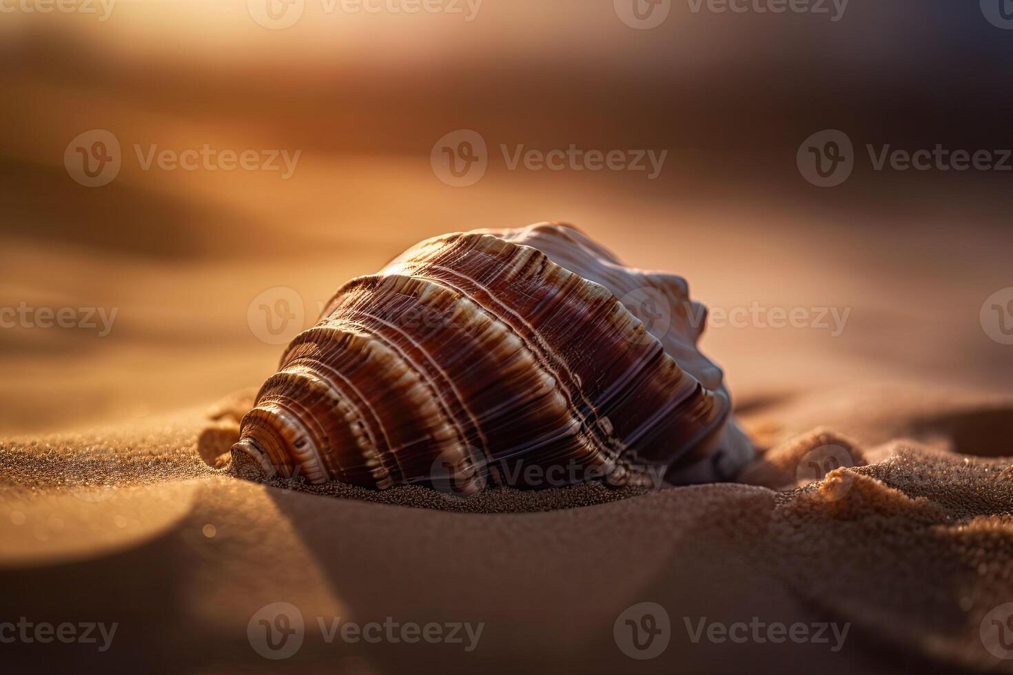 Concha em areia às de praia. verão marinha fundo. generativo ai foto