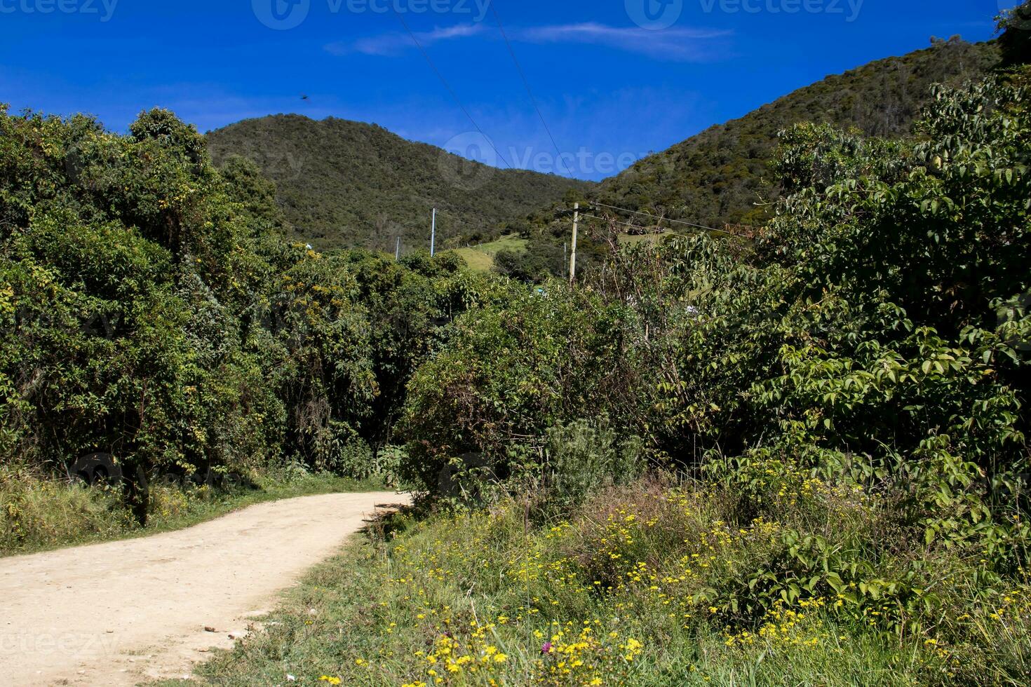 Visão do a lindo montanhas do a município do la calera localizado em a Oriental gamas do a colombiano andes foto