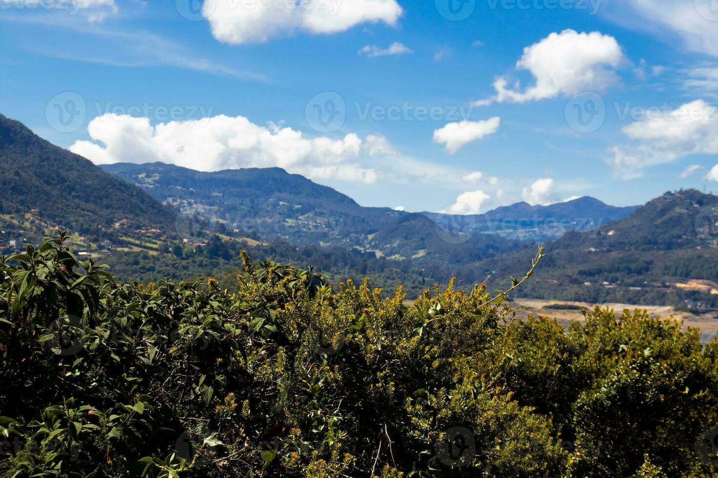 Visão do a nativo flora e a lindo montanhas do a município do la calera localizado em a Oriental gamas do a colombiano andes foto