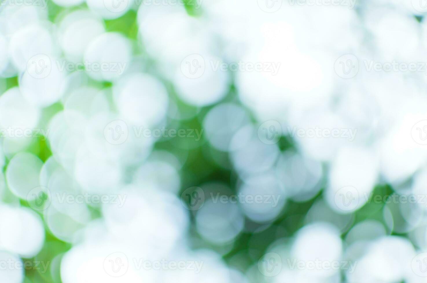 abstrato natureza verde e branco bokeh a partir de árvore plano de fundo, para fundo foto