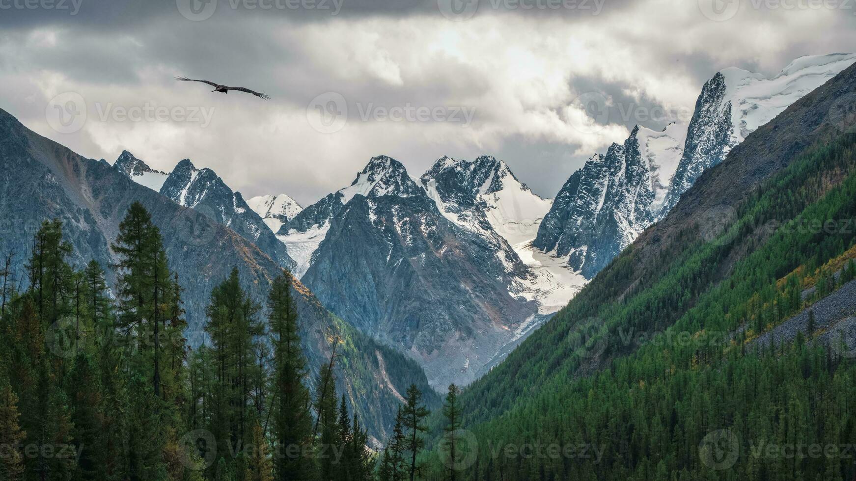 dramático chuvoso alpino panorama com verde floresta e neve afiado pináculo dentro baixo nuvens. aguçado pedras dentro nublado clima. atmosférico impressionante Visão para pontudo montanha dentro baixo nuvens. foto