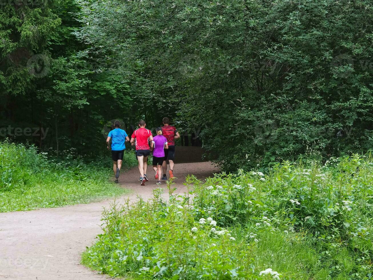 corredores a partir de a costas em uma correr dentro a parque. foto