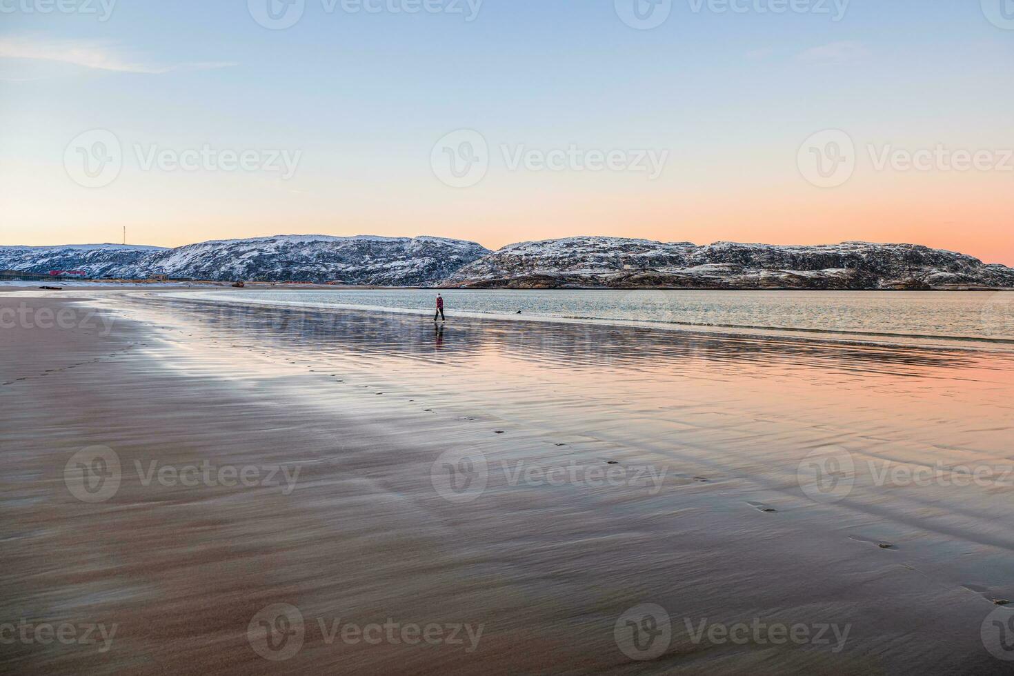 uma solitário viajante é comovente ao longo a Beira Mar. lindo Rosa pôr do sol em a ártico oceano. uma Península com coberto de neve colinas em a horizonte. mar minimalista panorama. foto