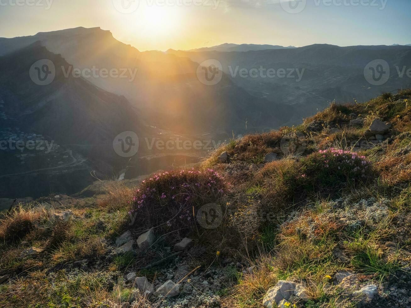tarde dentro a montanhas. pôr do sol raios do a Sol outono em a montanha declives coberto com selvagem floração arbustos. foto