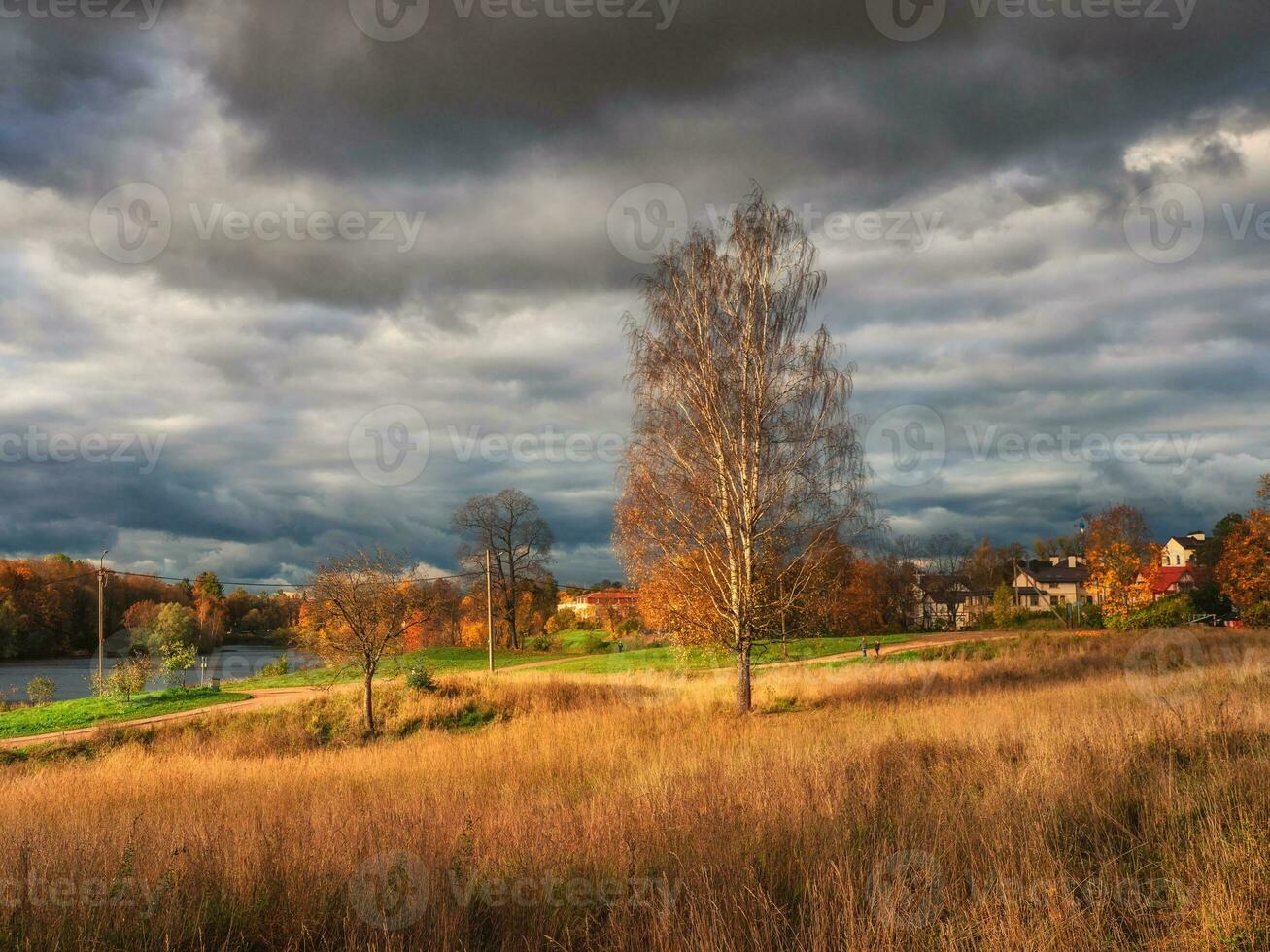 brilhante outono rústico panorama com uma alta árvore de a estrada. Sombrio céu sobre a Vila antes a tempestade foto