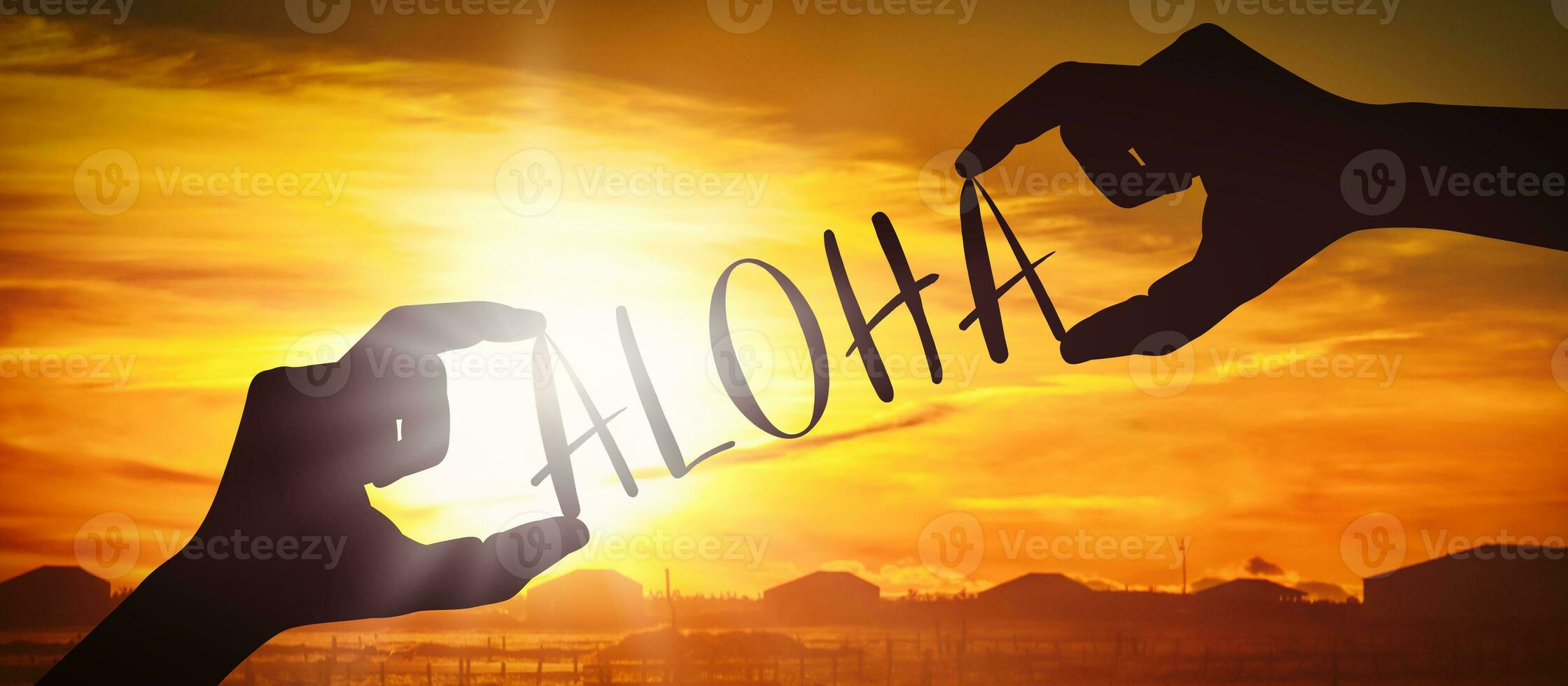 aloha - humano mãos segurando Preto silhueta palavra foto
