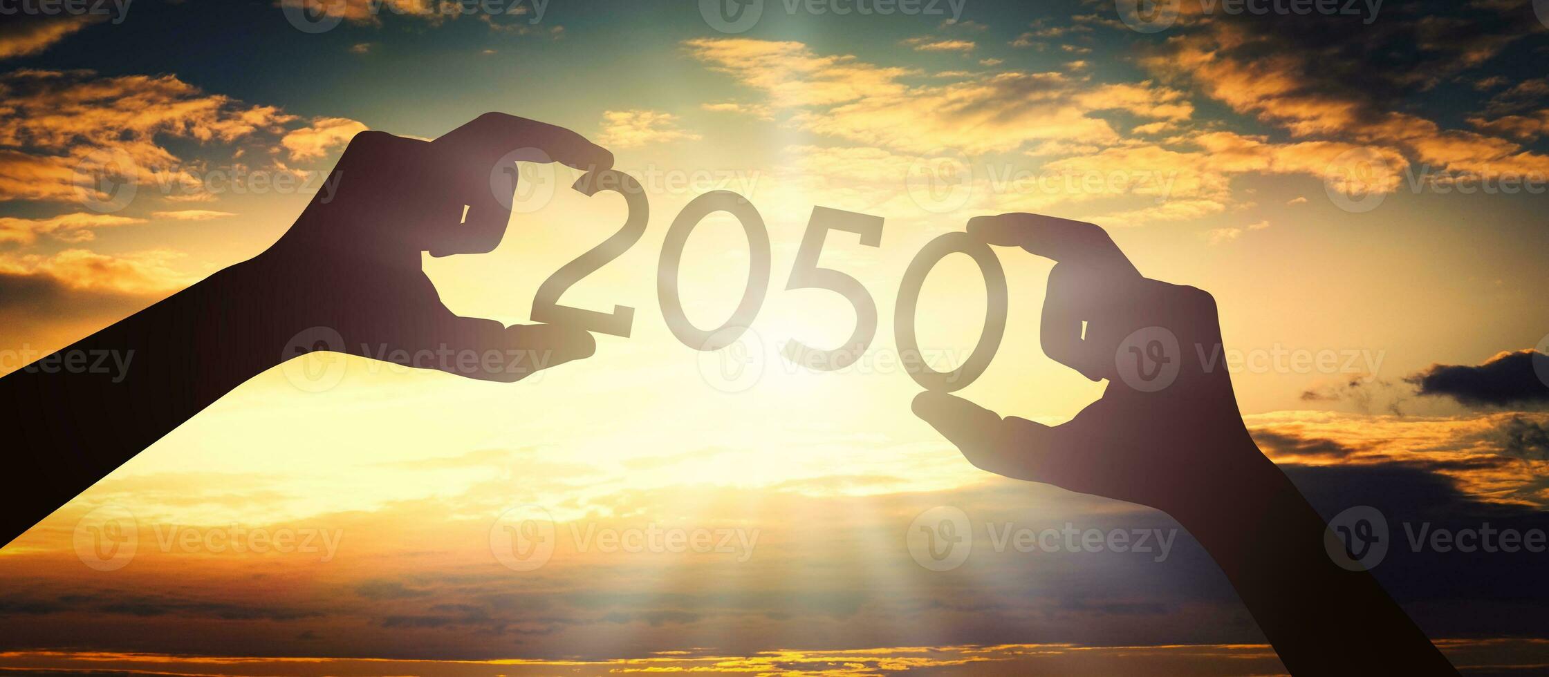 2050 - humano mãos segurando Preto silhueta ano número foto