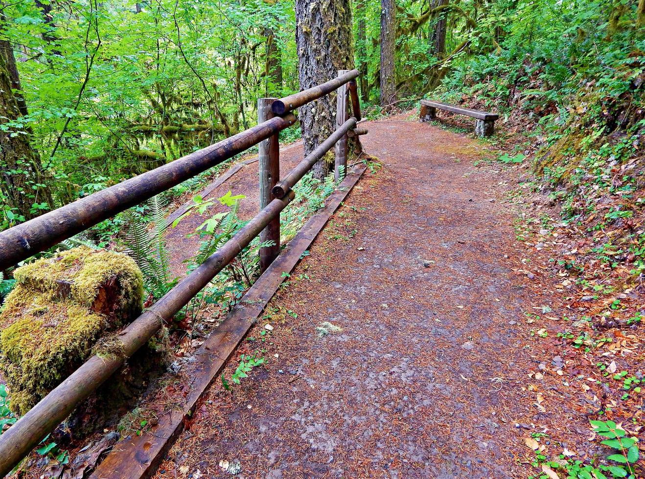 ziguezague, parada, parada, trilha do rancho perto de cascádia, ou foto