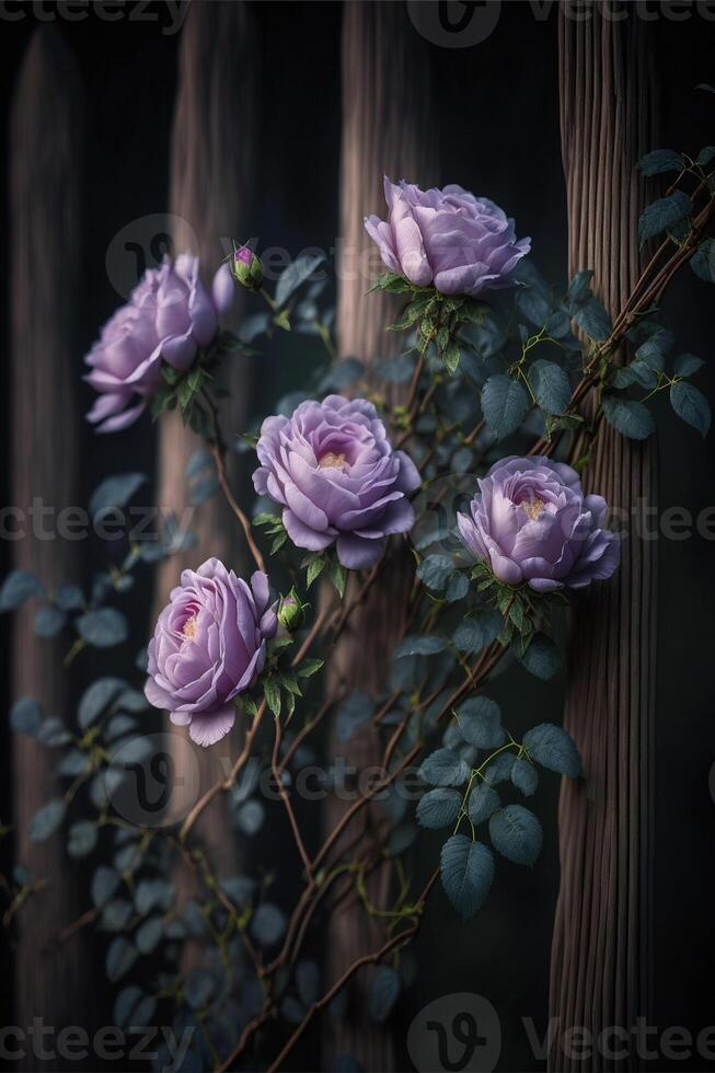 uma grupo do roxa rosas sentado em topo do uma de madeira cerca. generativo ai. foto