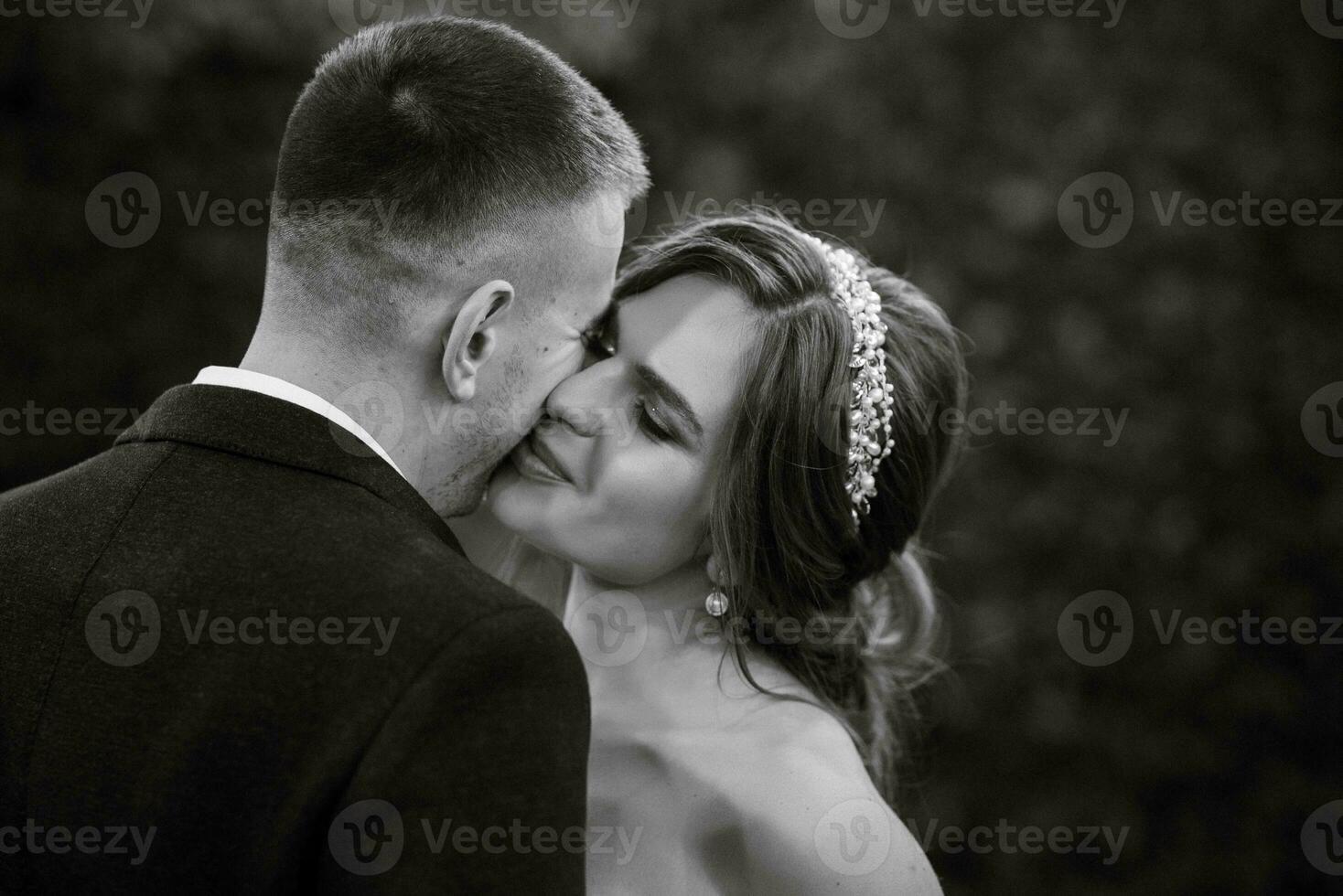 retrato do uma jovem casal do noiva e noivo em seus Casamento dia foto