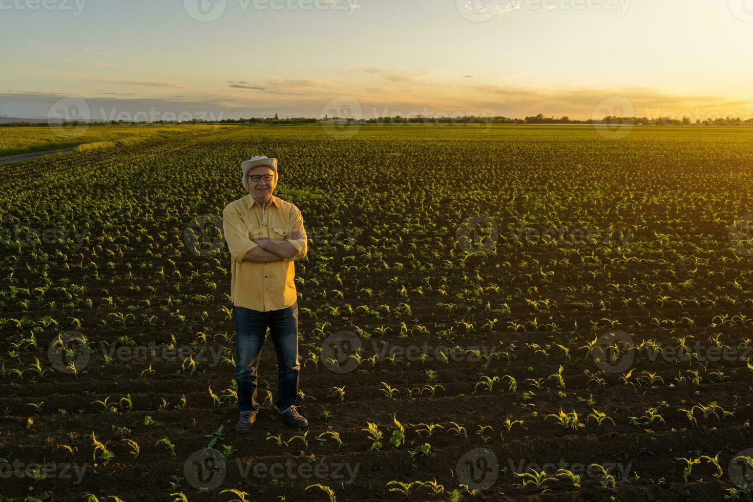 agricultor em pé dentro uma milho campo foto