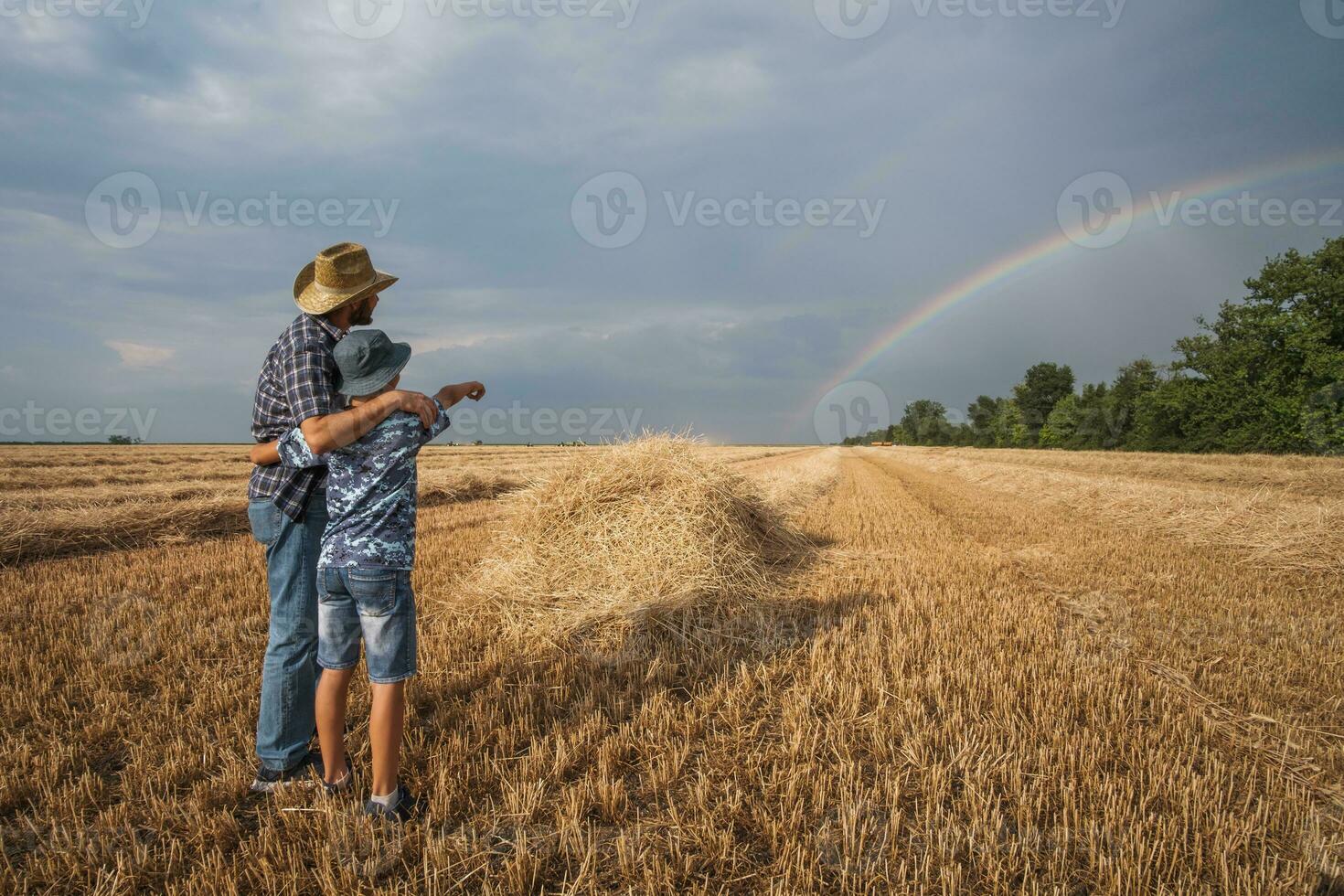 pai e filho estão em pé dentro seus trigo campo depois de uma bem sucedido colheita. foto