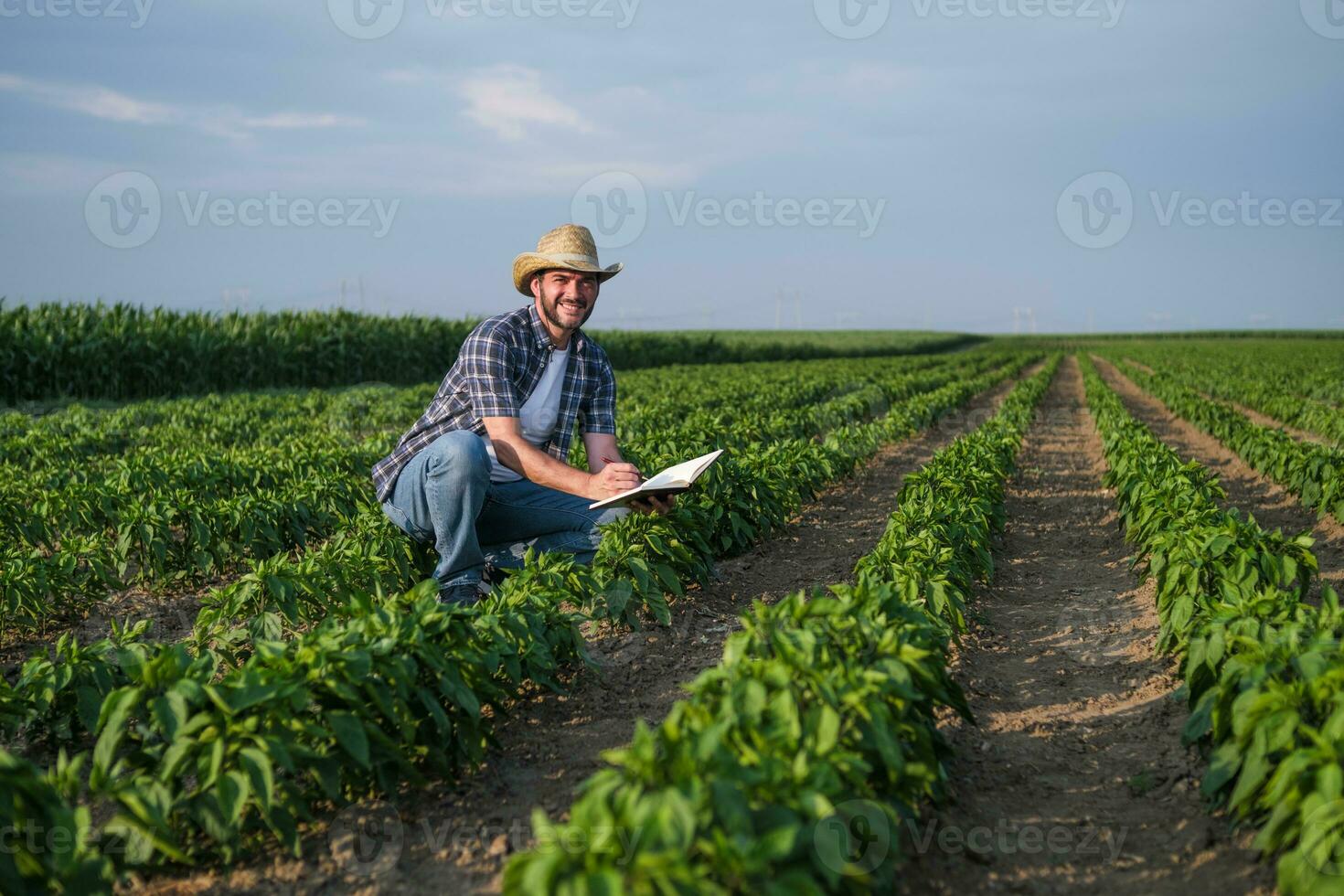 uma agricultor é examinando dele Pimenta plantação foto