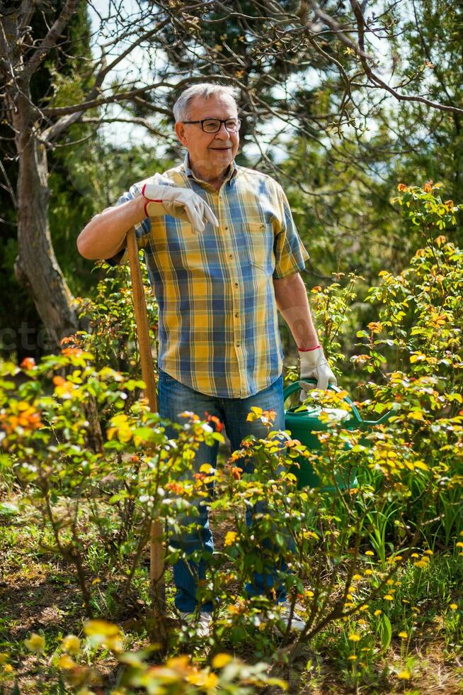 uma Senior homem levando Cuidado do dele jardim foto