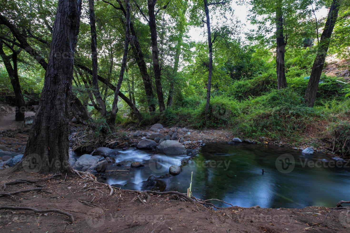 fluxo de água pura fluindo sobre terreno montanhoso rochoso na floresta kakopetria em troodos chipre foto