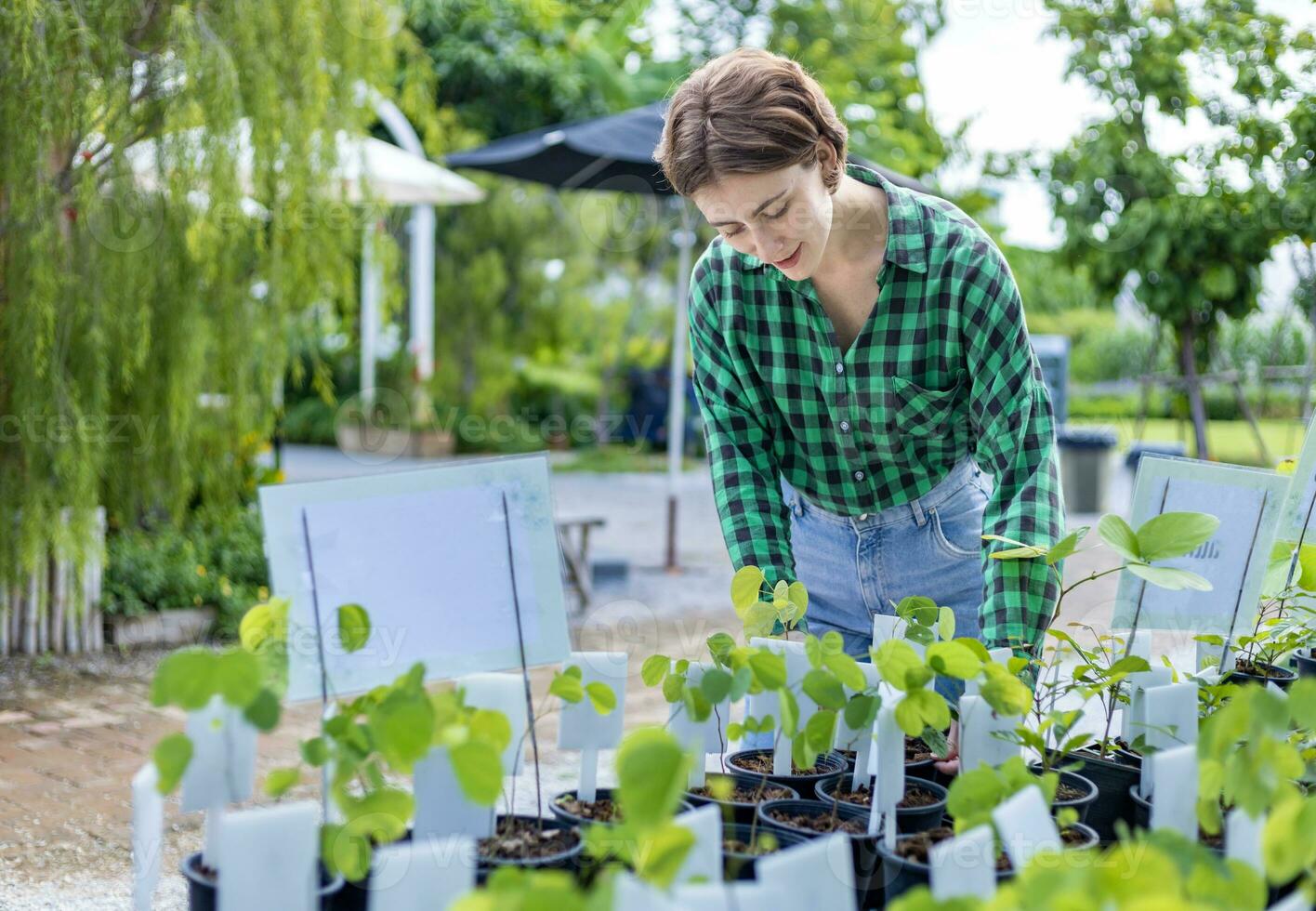 jovem caucasiano cliente é escolhendo árvore plantinha plantar a partir de a local jardim Centro berçário para final de semana jardinagem e ao ar livre conceito foto