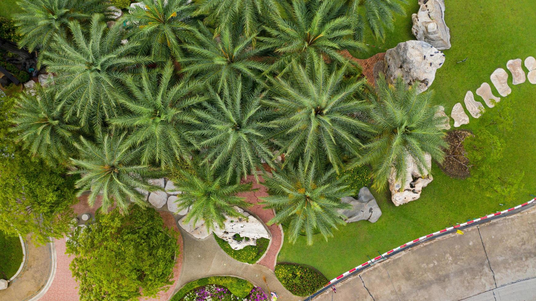 vista aérea de lindo jardim verde foto