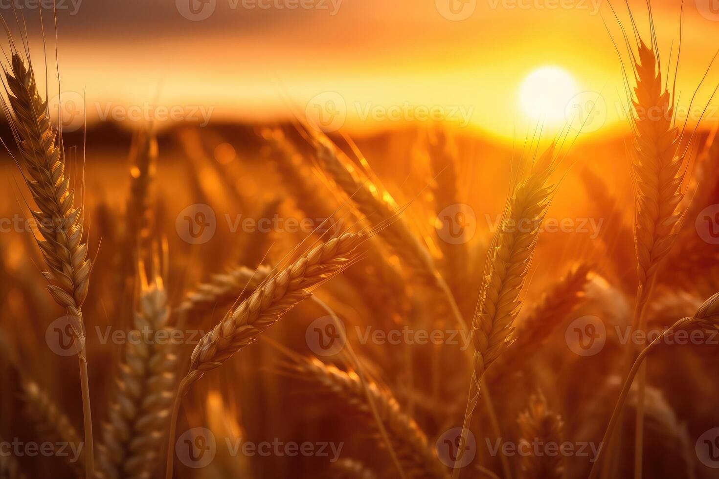 pôr do sol trigo campo fundo foto, borrado e suave foco. generativo ai foto