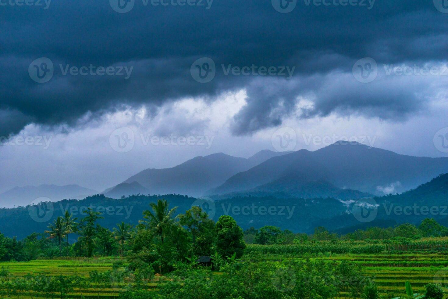 bela vista matinal indonésia panorama paisagem arrozais com cor de beleza e luz natural do céu foto