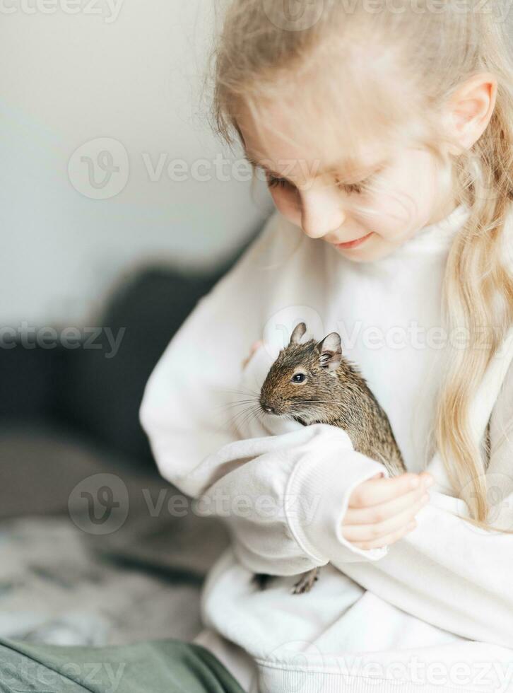 jovem menina jogando com pequeno animal degu esquilo. foto