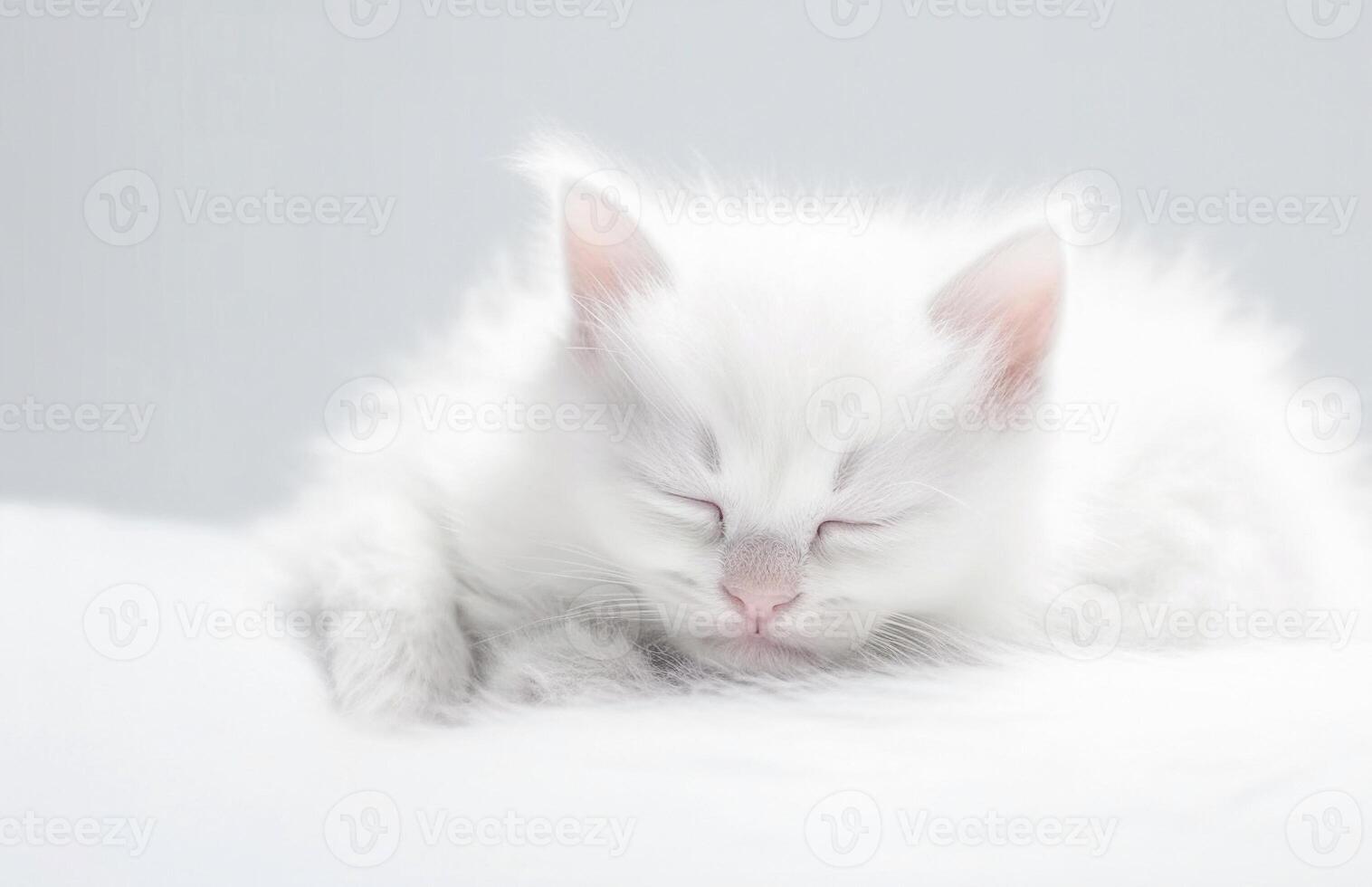 ai generativo. fofa pequeno branco gatinho dormindo foto