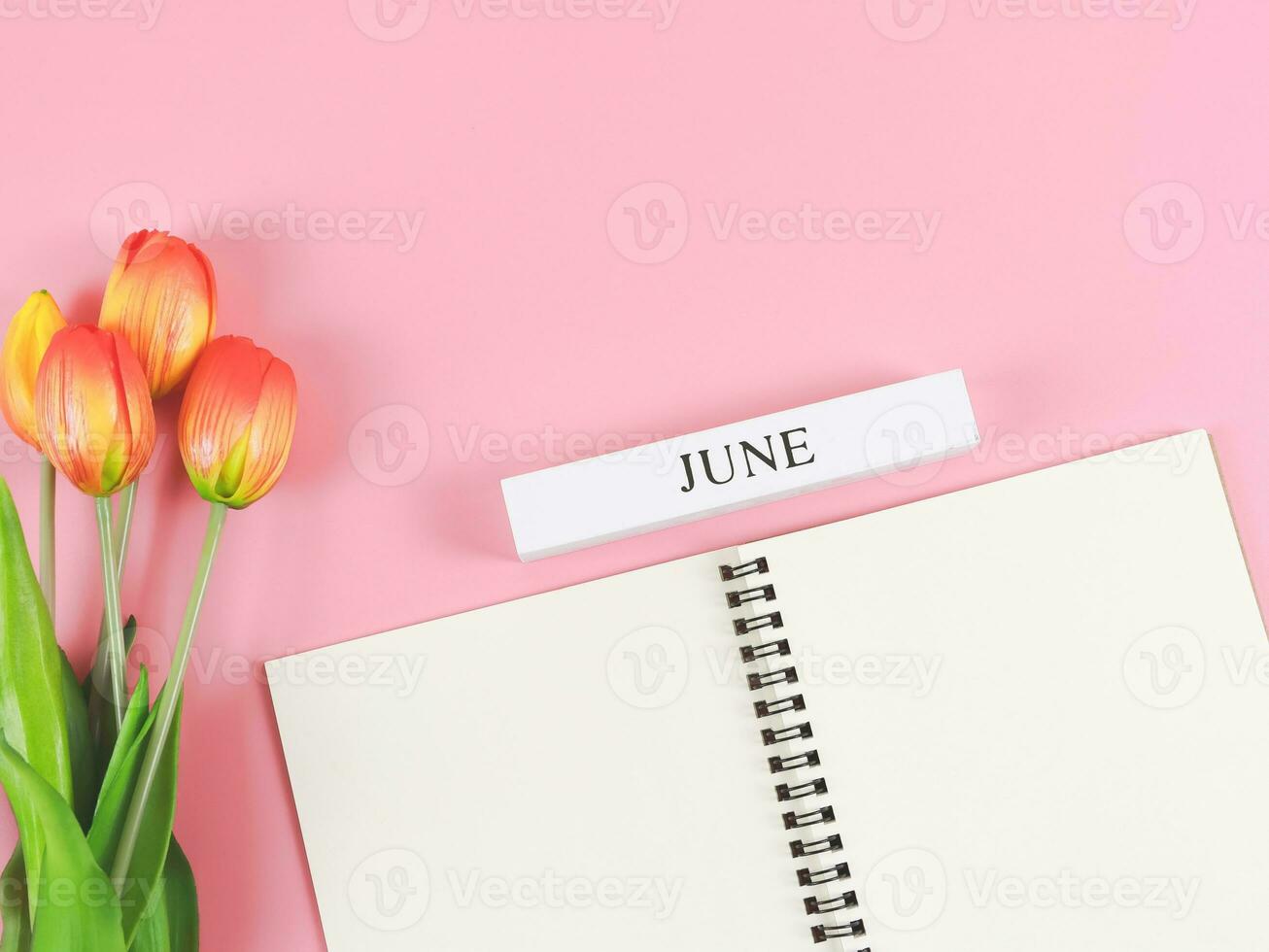 plano deitar do aberto diário ou caderno com de madeira calendário junho em Rosa fundo com laranja amarelo tulipas. foto