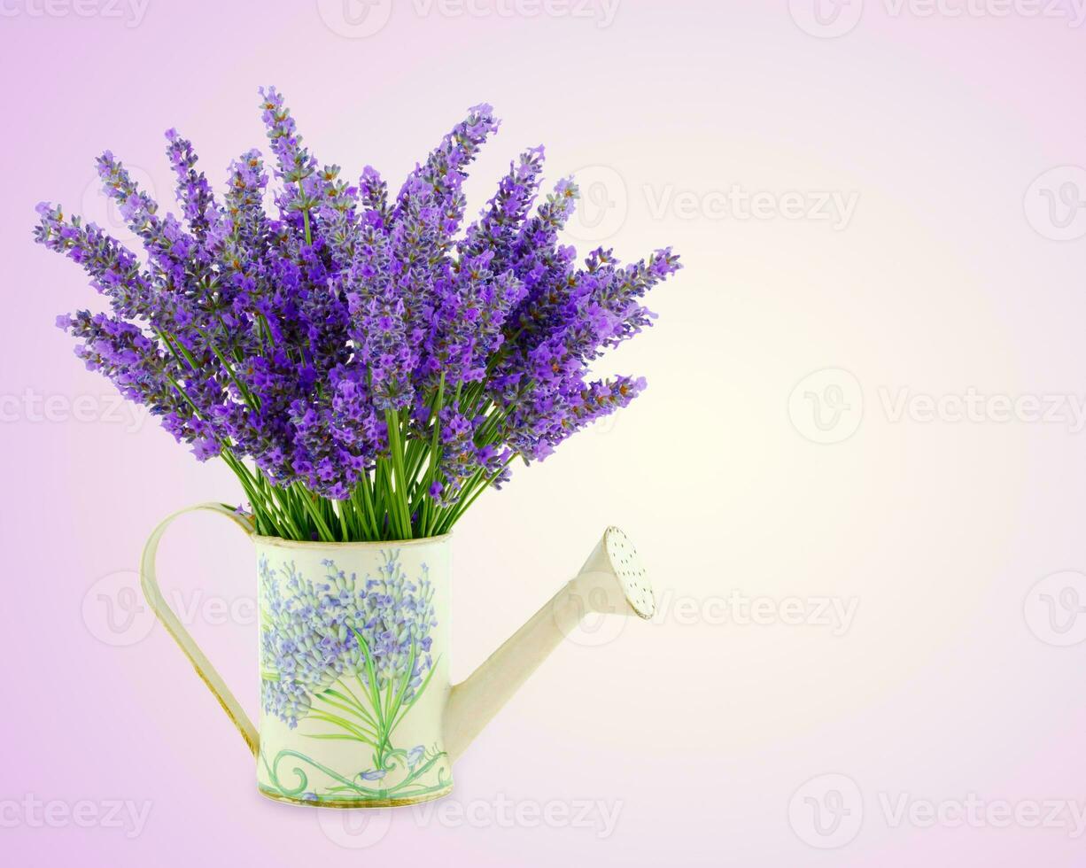 rega pode com pêndulo lavanda foto