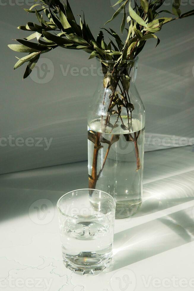 uma vidro vaso com uma verde plantar e Glasse do água em uma branco mesa. foto