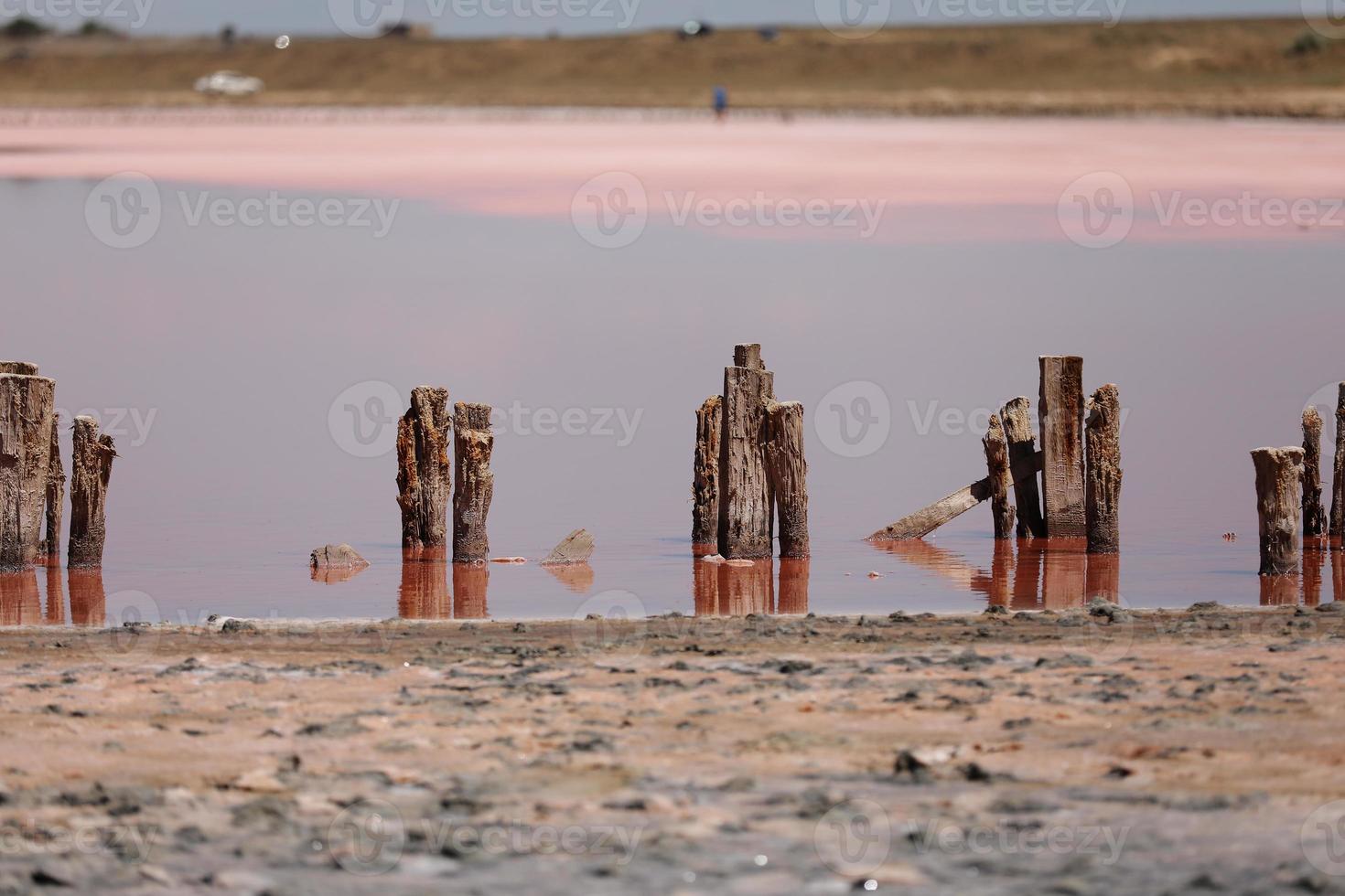 um fantástico lago de sal rosa com cristais de sal em pilares de madeira em um dia ensolarado foto