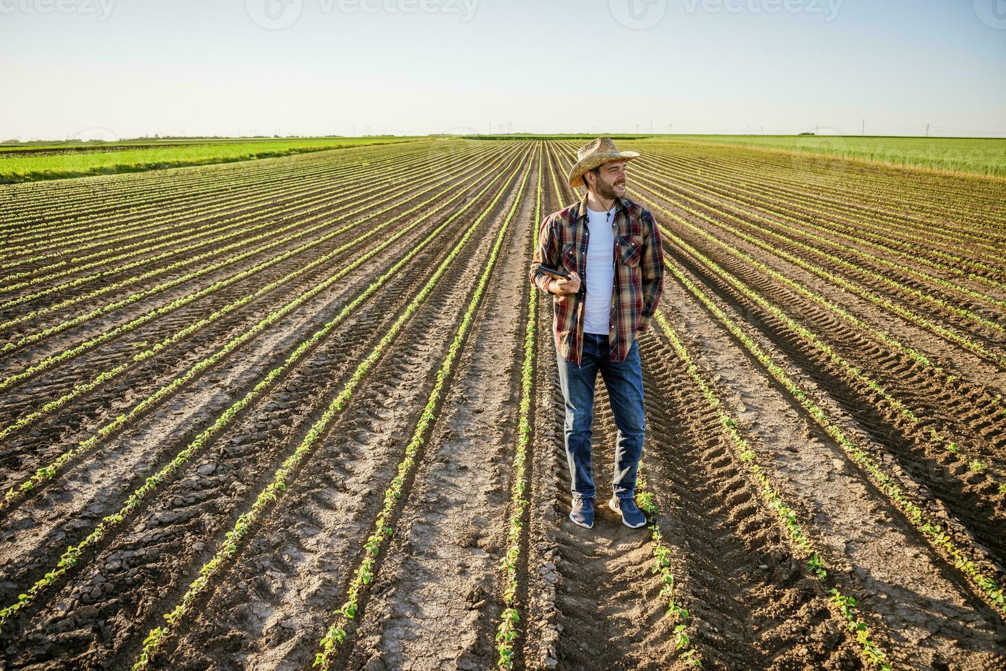 agricultor é cultivar soja em dele terra. ele é examinando progresso do plantações. foto