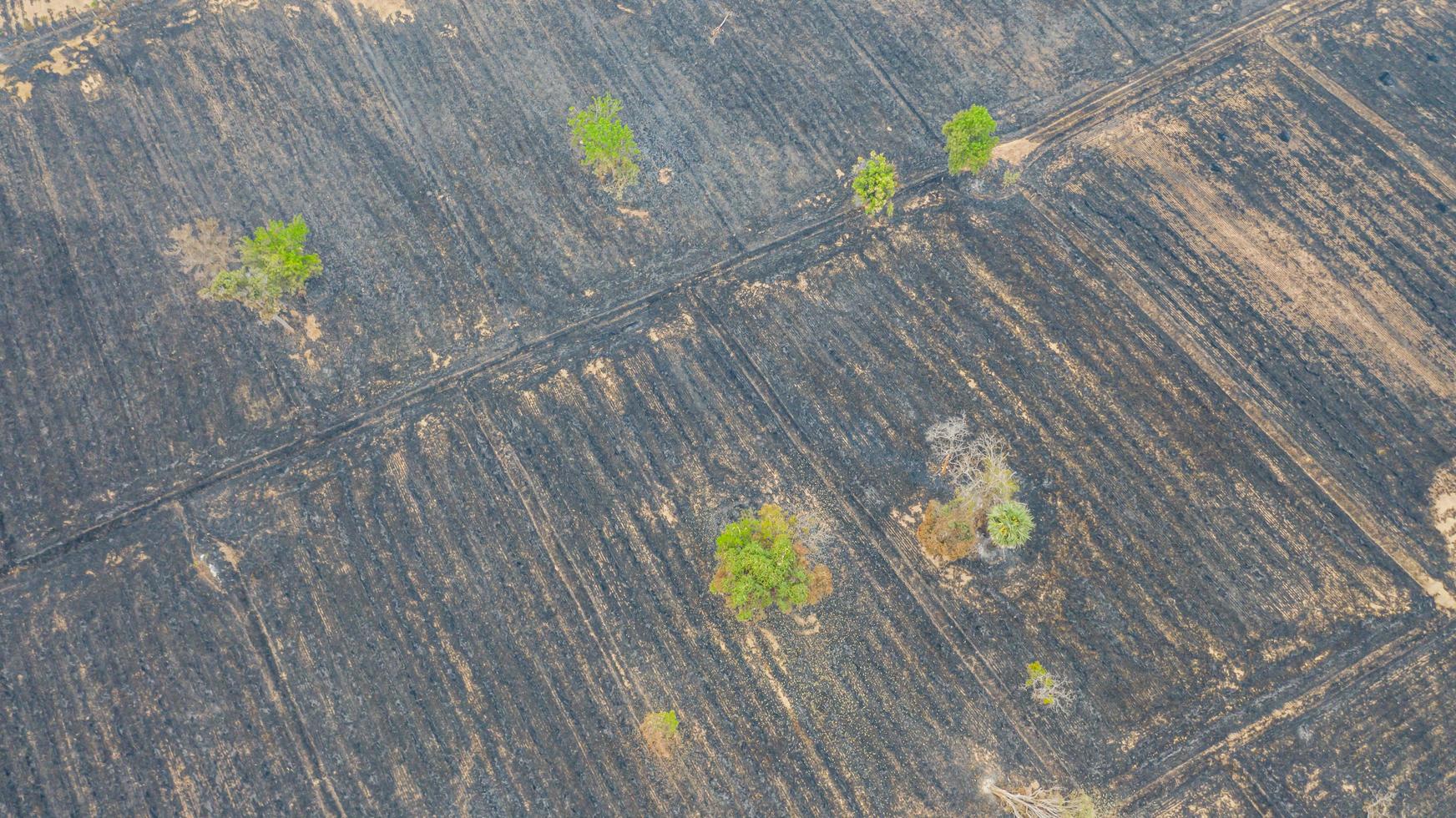 vista aérea sobre o campo de arroz em chamas após a colheita foto