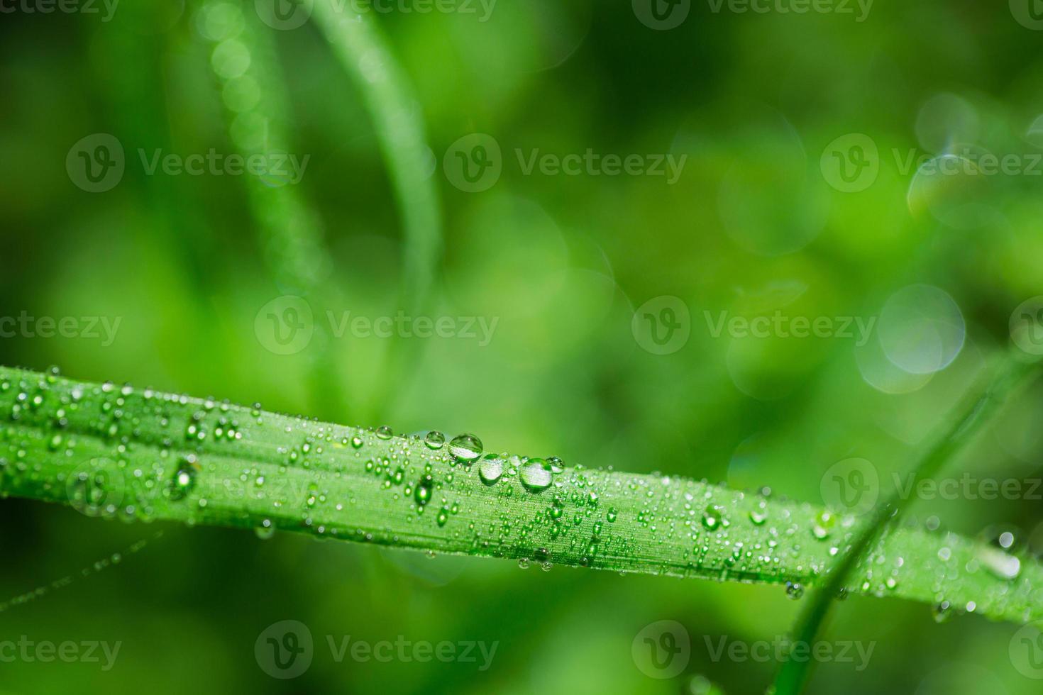 fundo ecológico e gotas de água foto