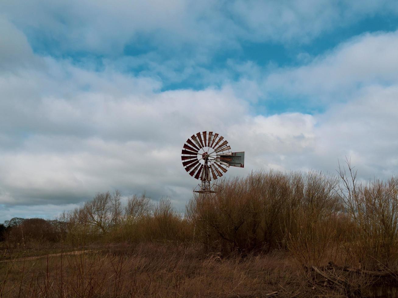 bomba de vento em uma reserva natural no norte de yorkshire inglaterra foto