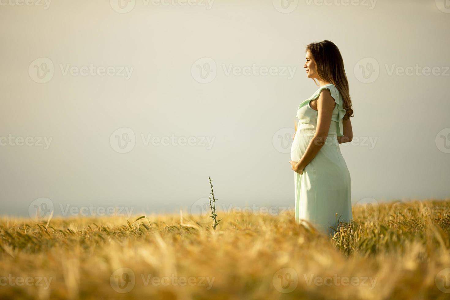 mulher grávida em campo com espaço de cópia foto