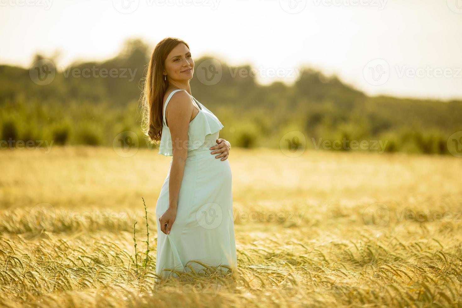 mulher grávida com um vestido em um campo sob a luz do sol foto