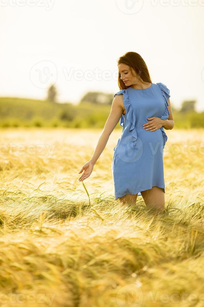 mulher grávida correndo de mãos dadas no campo de trigo foto