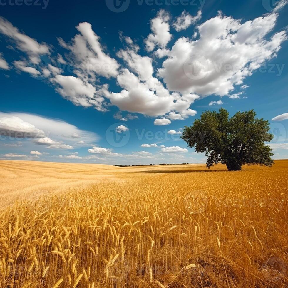 dourado trigo campo em a fundo do quente verão Sol e azul céu com branco nuvens.chão estrada deixando para a horizonte. lindo verão panorama. ai generativo foto