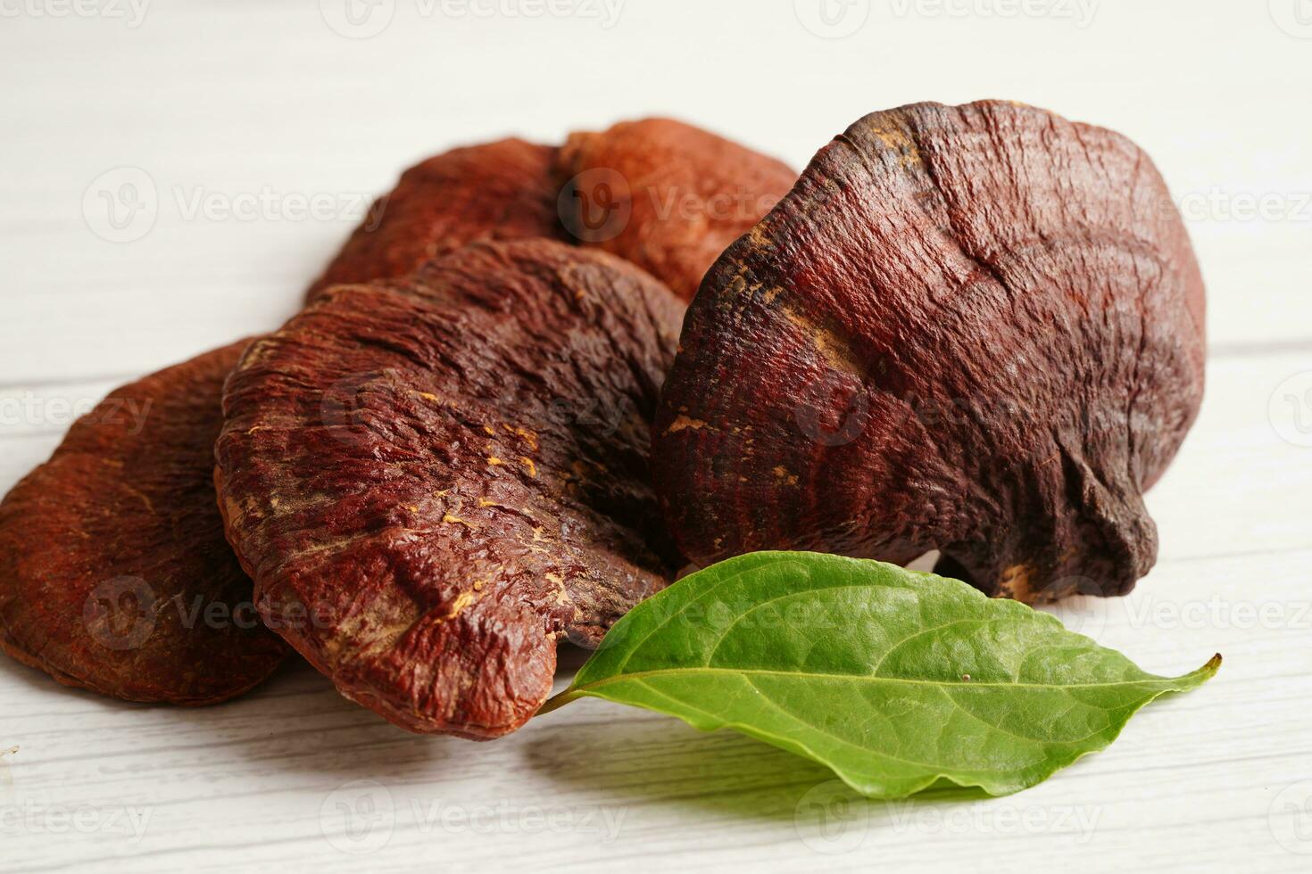 Cogumelo lingzhi ou reishi com cápsulas, alimentos saudáveis naturais orgânicos. foto