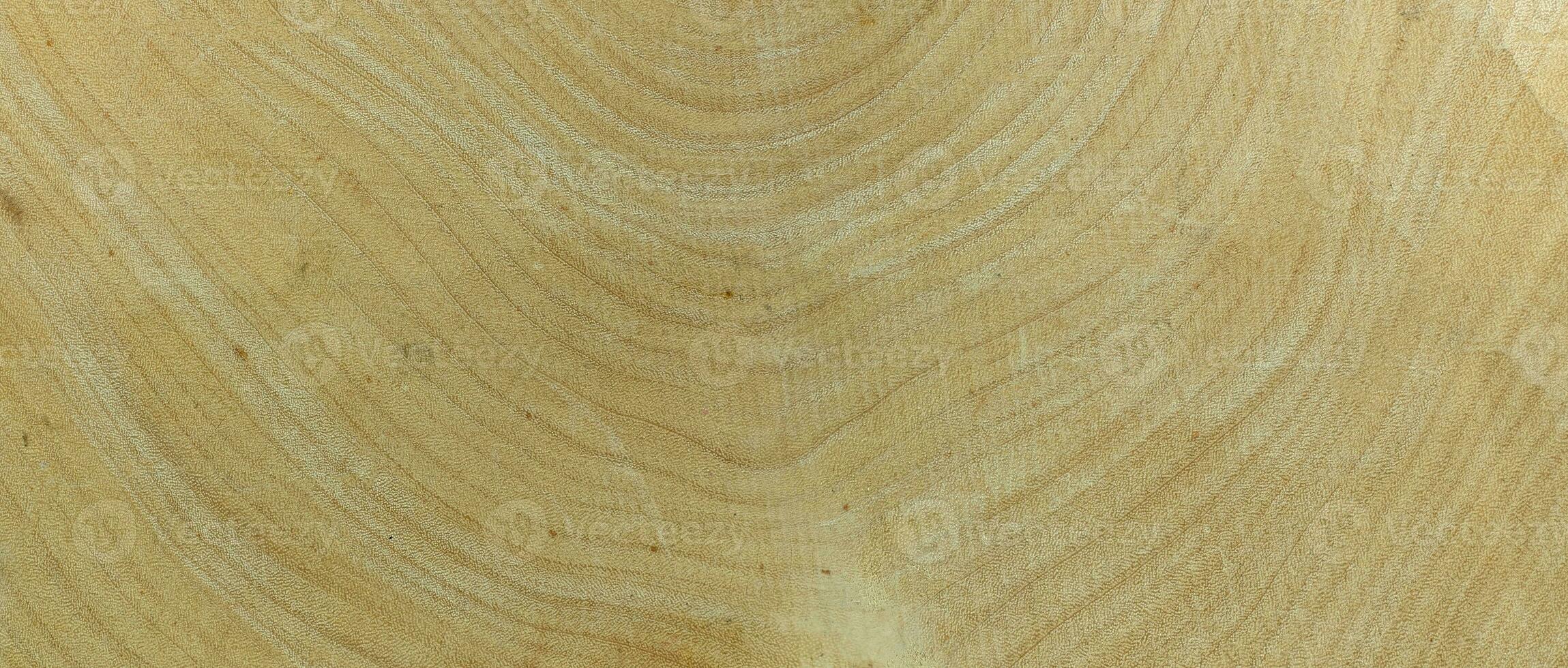 anel anual de madeira de tamarindo para textura de fundo foto