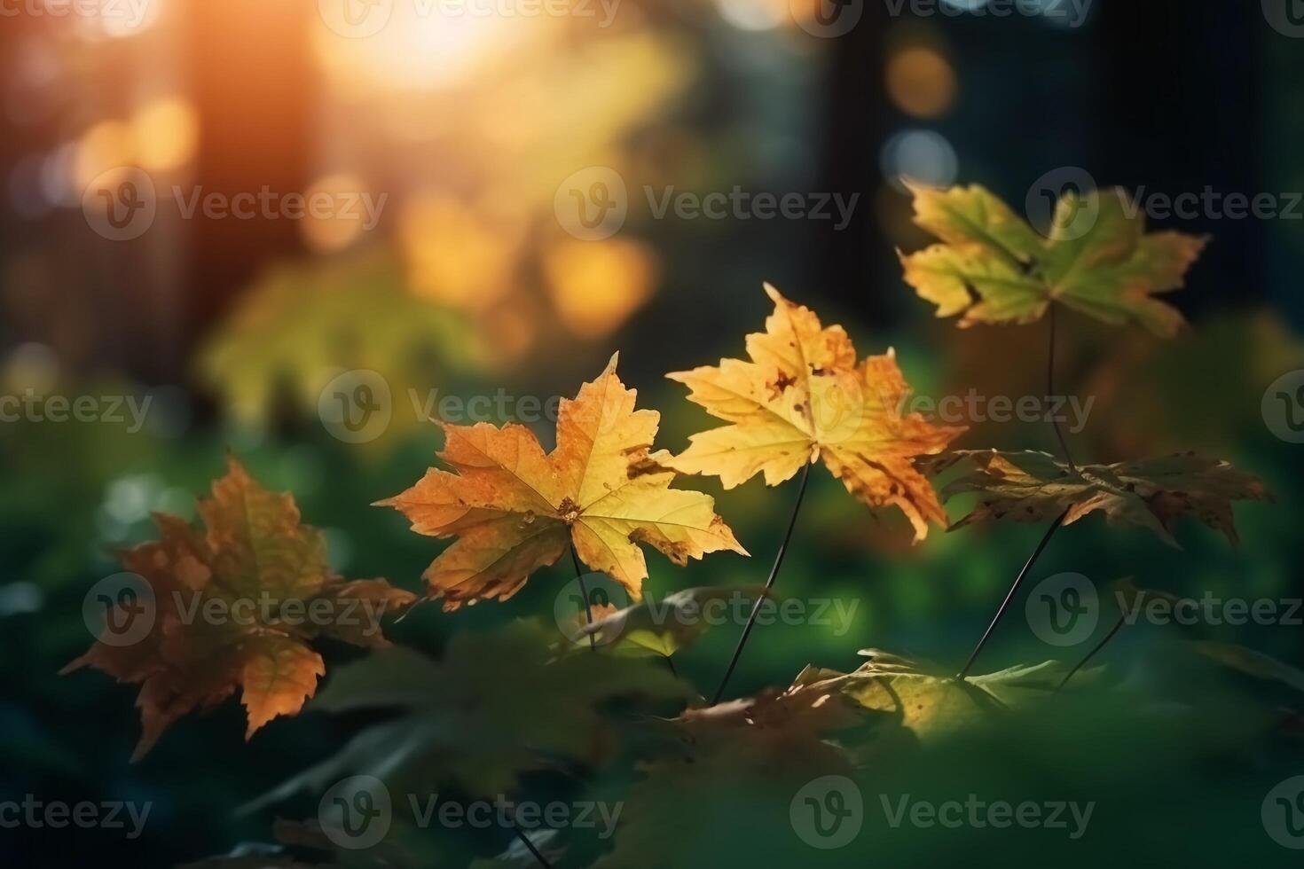 natural outono fundo com dourado amarelo e laranja bordo folhas brilhando dentro a Sol em uma □ Gentil embaçado luz verde fundo. ai generativo foto