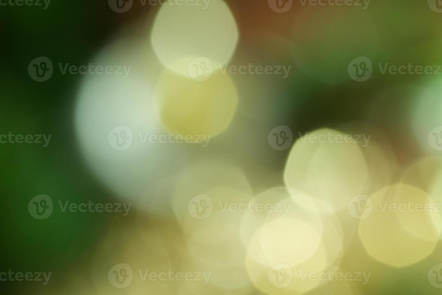 bokeh em uma árvore de natal foto