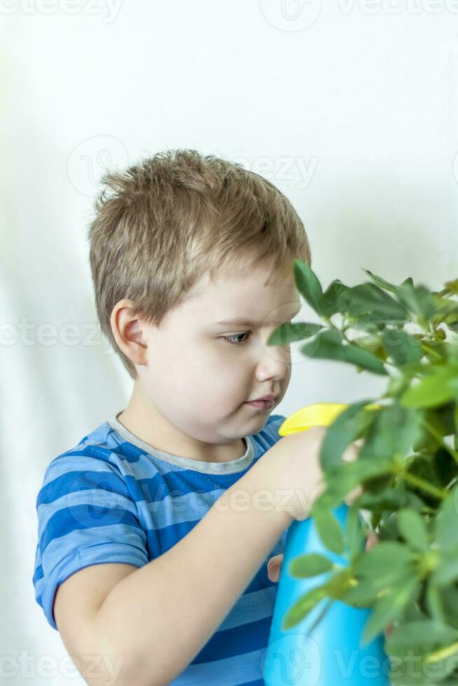 a criança ajuda para levar Cuidado do interior plantas. a Garoto sprays em a folhas com uma bala pistola. Cuidado do plantas. foto