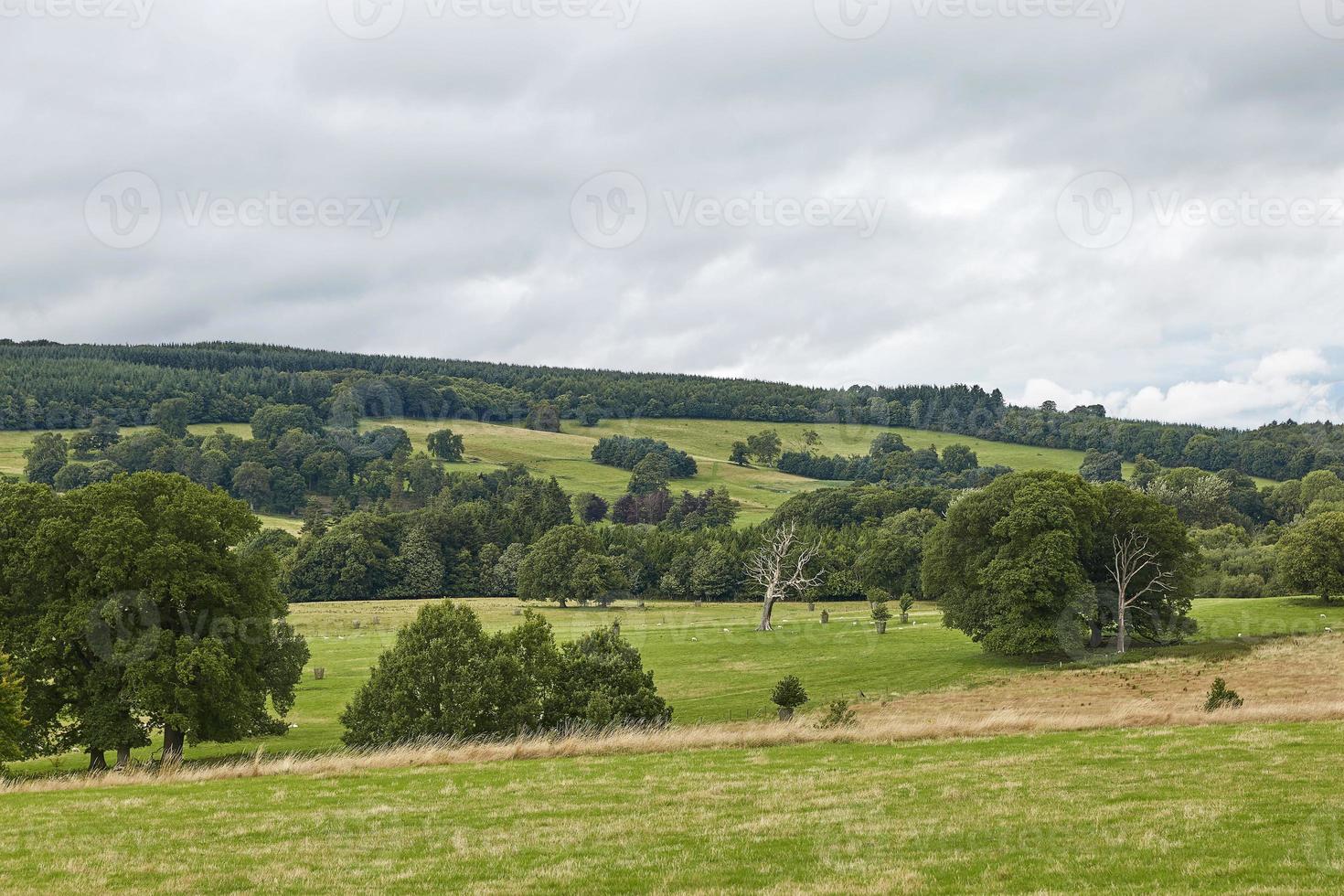 campo na gales do norte inglaterra reino unido foto