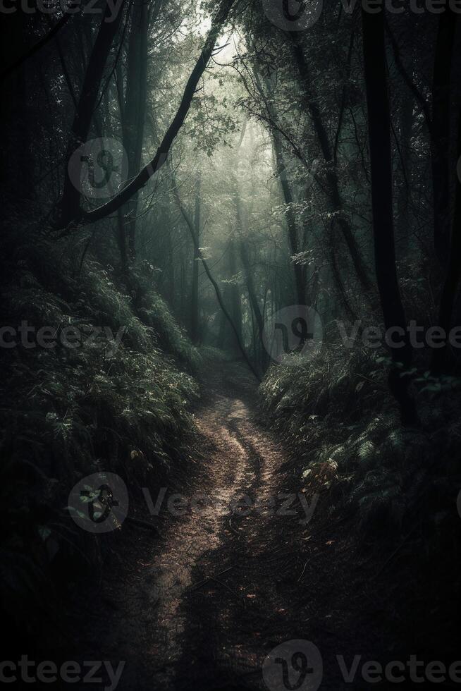 Sombrio floresta, com uma caminho dentro a meio, Horror ambiente, árvores em a lado. ai generativo foto