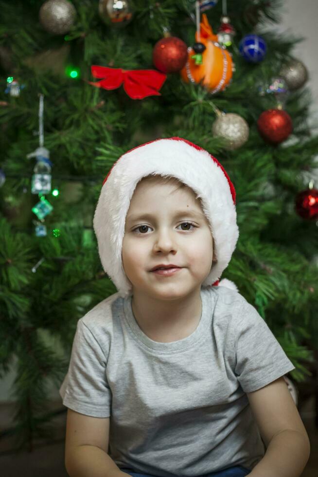 uma foto do uma lindo Garoto dentro uma cinzento camiseta e uma santa claus chapéu às a Natal árvore, olhando para dentro a Câmera. retrato dentro uma brilhante sala. natural, não encenado fotografia.