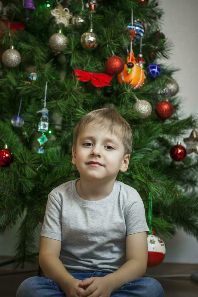 uma foto do uma lindo Garoto dentro uma cinzento camiseta às a Natal árvore, olhando para dentro a Câmera. retrato dentro uma brilhante sala. natural, não encenado fotografia.