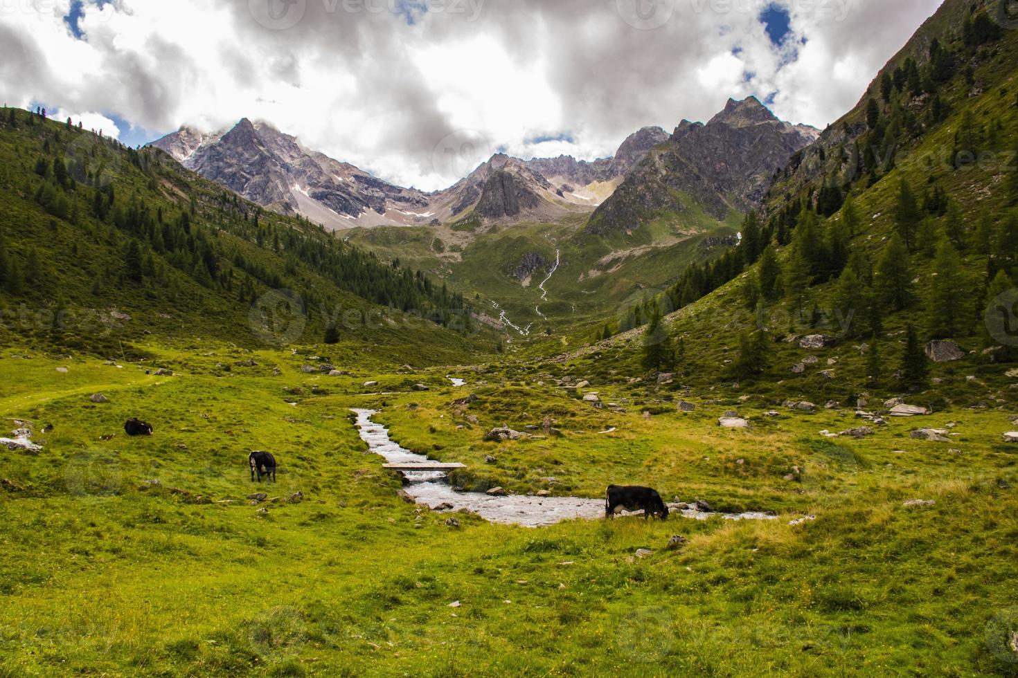 córregos nos Alpes do Tirol do Sul foto