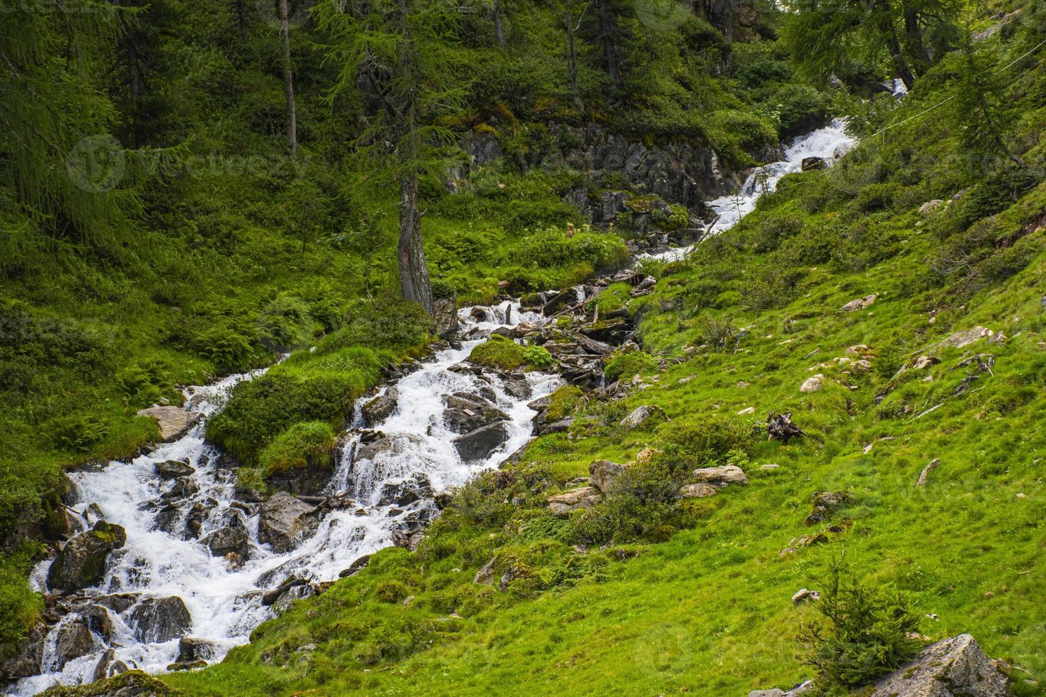 córregos nos Alpes do Tirol do Sul foto